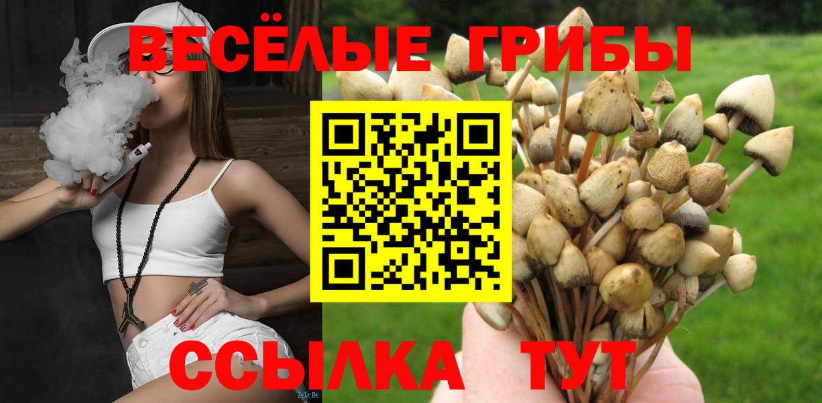 Комсомольск-на-Амуре  Галлюциногенные грибы GOLDEN TEACHER  Вход с VPN 